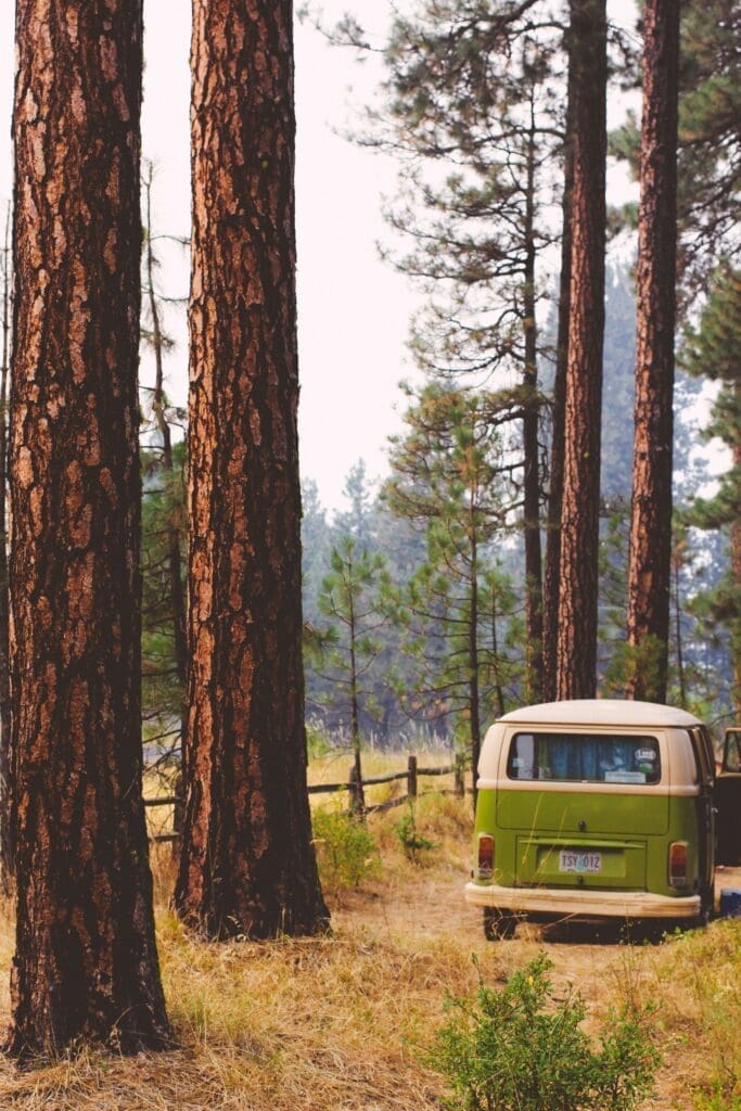 Camper Van Green retro camper van parked in a forest clearing among tall pine trees