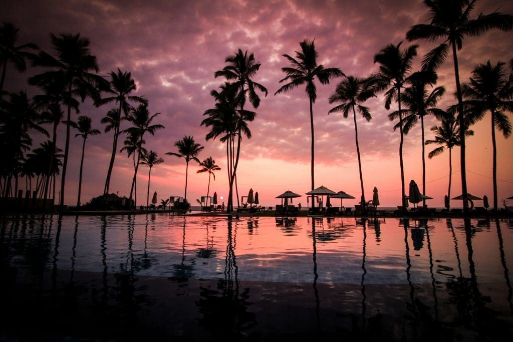 Palm trees and sun loungers silhouetted against a vibrant pink and purple sunset reflected in a resort swimming pool