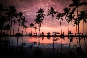 Palm trees and sun loungers silhouetted against a vibrant pink and purple sunset reflected in a resort swimming pool