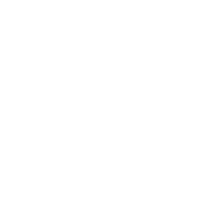 14 day money back guarantee icon