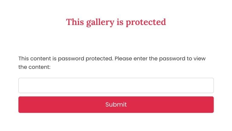 Password Protection Form