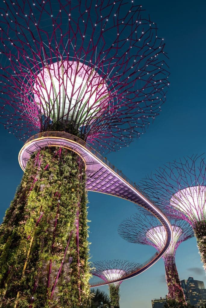 Photo by Hu Chen on Unsplash Illuminated Supertree Grove with skywalk at Gardens by the Bay Singapore at night
